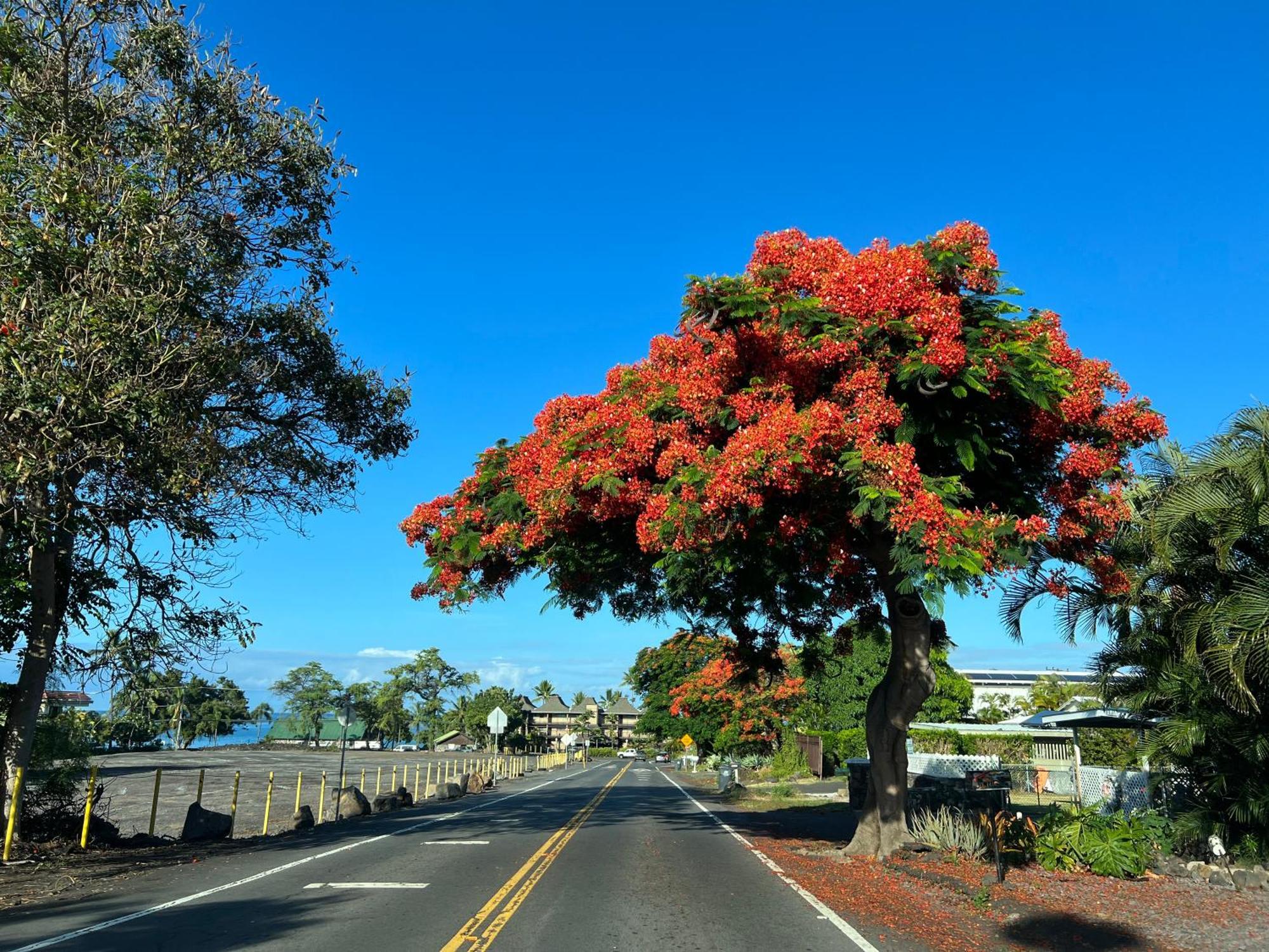 Appartamento Mailan Hale Kailua-Kona Esterno foto